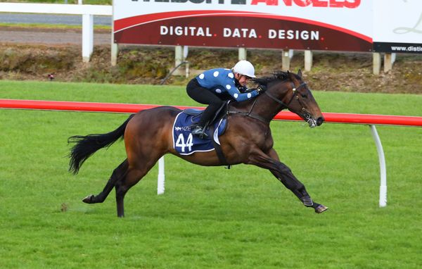 Slick performances on day two of breeze-ups