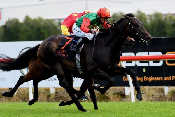 Pareanui Bay proves too tough in Te Rapa feature