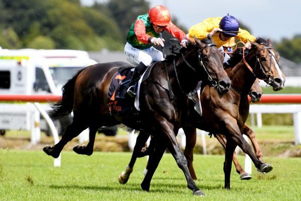 Pike produces smart pair of 3YOs