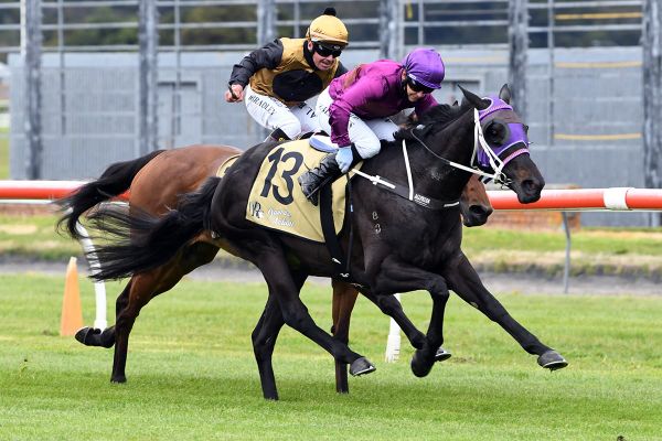 Latta taking a wait and see approach with filly