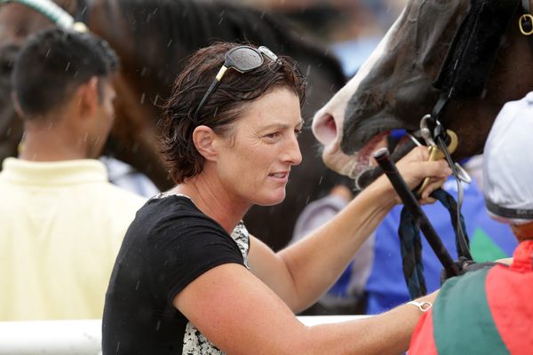 Group targets await Our Alley Cat