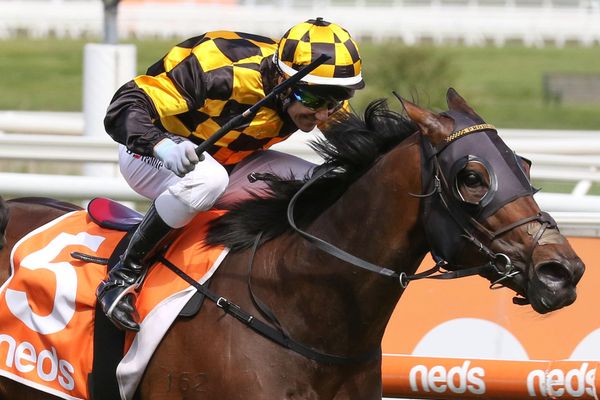 Cox Plate-bound Probabeel heads bumper Richards double
