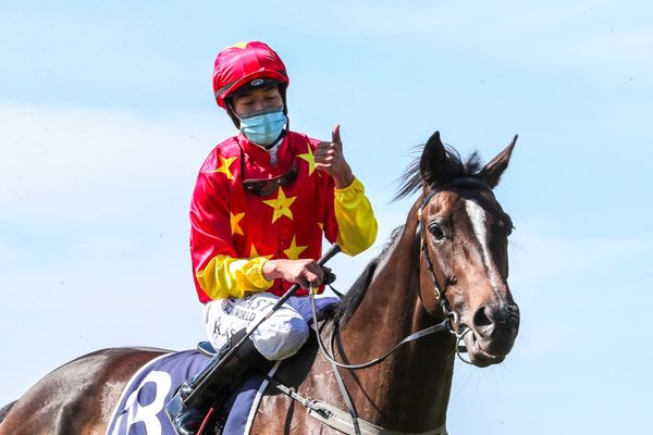 Asano continues upward trajectory