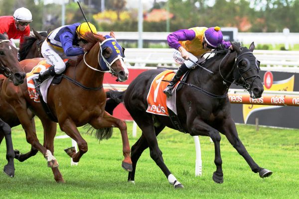 Browne zoo notches another Aussie win