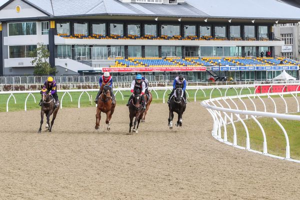 Synthetic trials at Riccarton get thumbs up