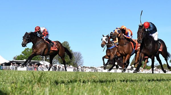 Savy Yong Blonk too crisp in Livamol