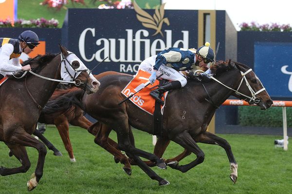 Sierra Sue ready to rock in Orr Stakes