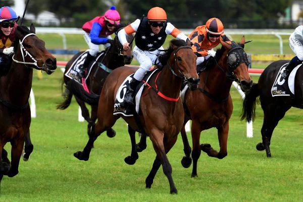 Tauranga and Rosehill focus for Collett