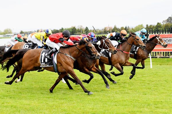 Life is sweet for Clementine at Rotorua
