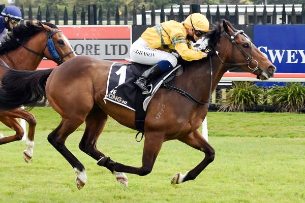 Punters’ pal back to winning form at Rotorua
