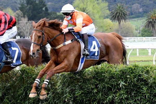 Thrilling finish to Great Northern Steeplechase