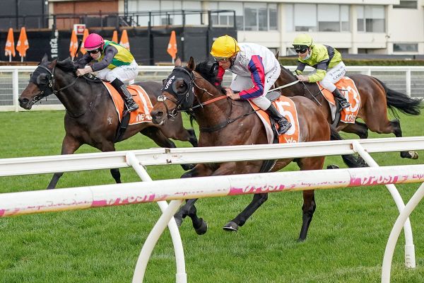 The Chosen One on target for third Caulfield Cup tilt
