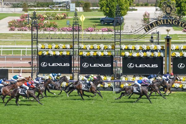 Crowds set to return to the Cup