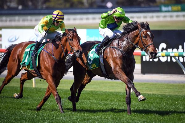 Tralee Rose to further enhance Hogan’s Melbourne Cup legacy