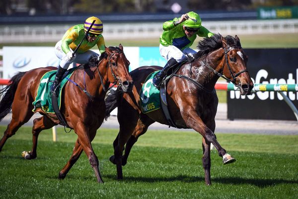 Cup start guaranteed following Geelong victory