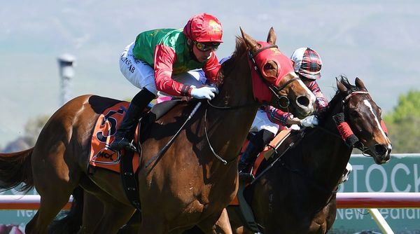 James in search of more Stakes success