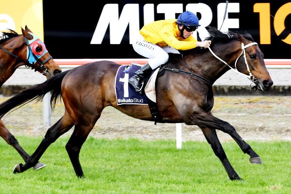 Vernanme back to his best in Matamata Cup