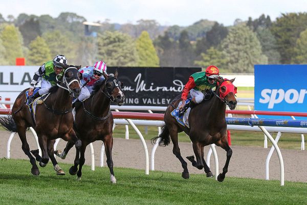 Ballarat Cup triumph for in-form Zayydani