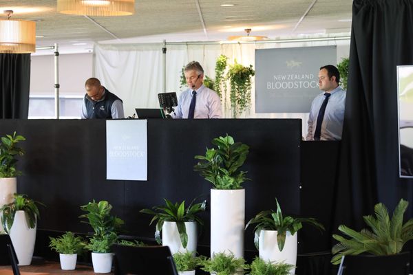 Market Strength Accelerates on Day One of Ready to Run Sale