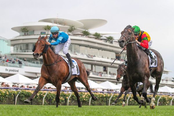 Age of Chivalry back in winner’s circle with Flemington Group Three