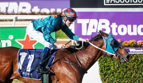 Black-type breakthrough for Angelic Miss