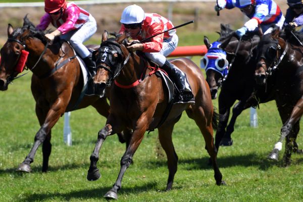 Punctual finish from Apostrophe