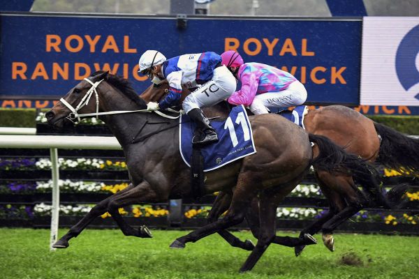 Go Racing gears up for big weekend