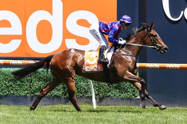 Ayrton nearing a comeback