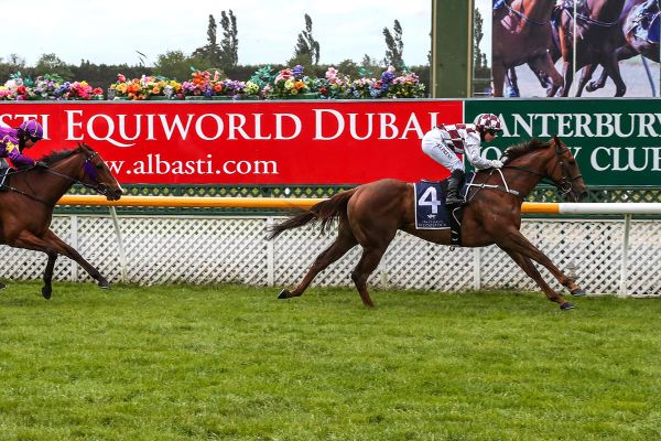 Cambridge trainer hoping to have his Foote in the till at Te Rapa