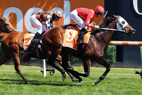 Savabeel colt impresses in Sandown Guineas triumph