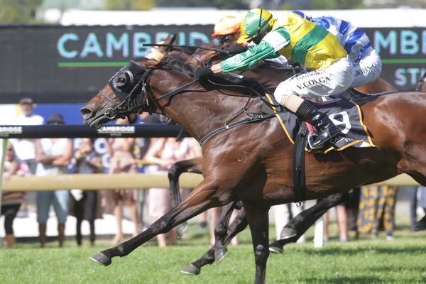 Trainers looking to add to stakes tally