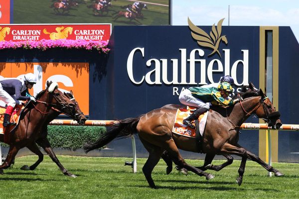 Dragon Storm swoops to land Sandown Cup