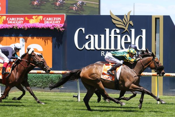 Trans-Tasman options for Ballymore stayers