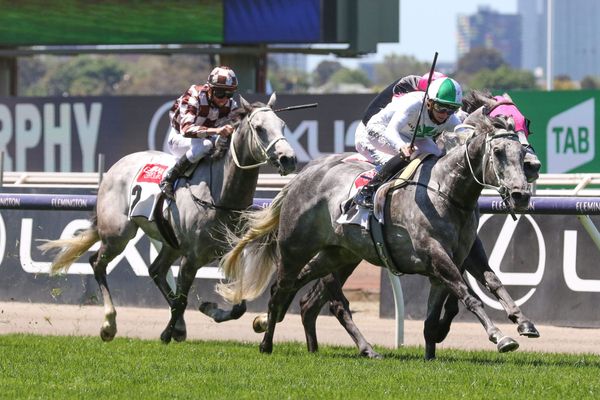 Excelman excels at Flemington