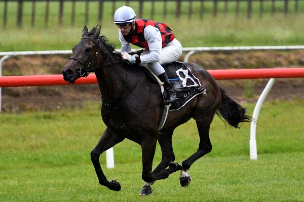 Promising filly on Derby path