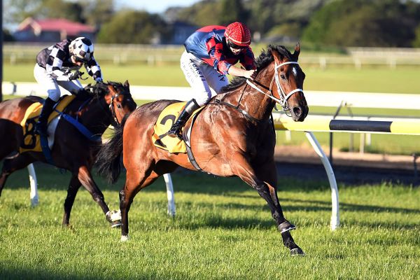 Douglas a new man as he guides home first flat winner