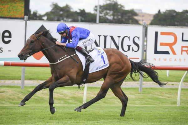 Per Incanto’s Lost And Running a Hunter star