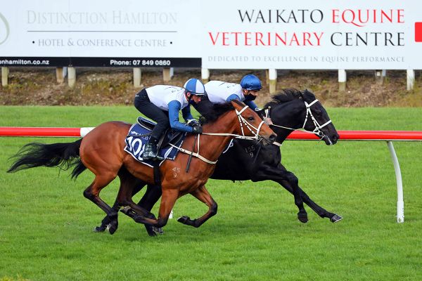 Rich Etiquette at Te Rapa