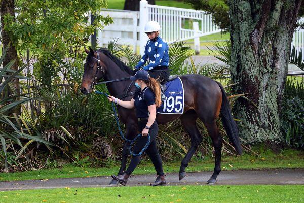 Unique Ready to Run Sale Defies Odds