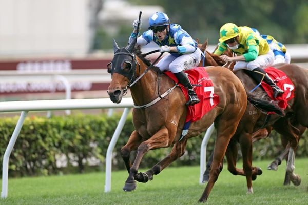 Sha Tin a Lucky Patch for NZ-bred