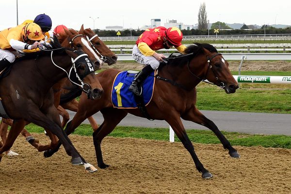 Plenty of merit in runner-up finish