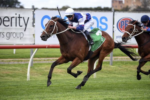 Mightybeel heads Go Racing quinella
