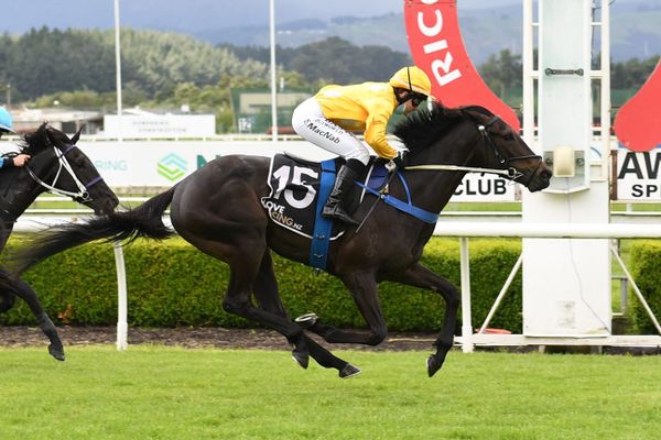 Didham’s stable set to continue strong form