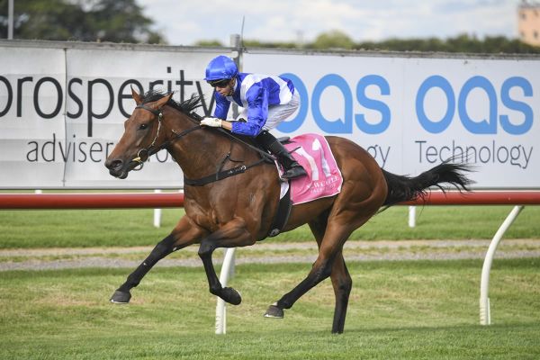 Doyle celebrates Blissful Saturday win