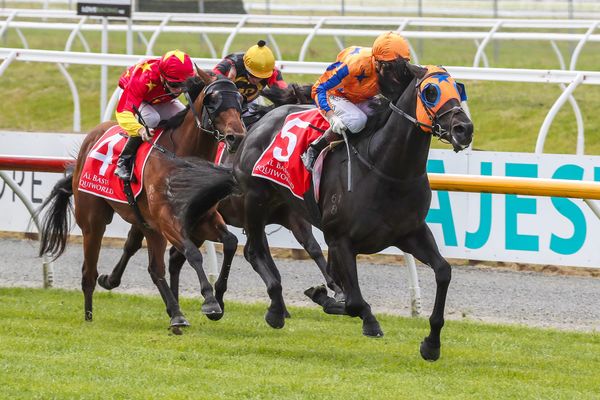 Noverre all class in 2000 Guineas