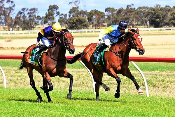 Portland Jimmy stars in Donald Cup