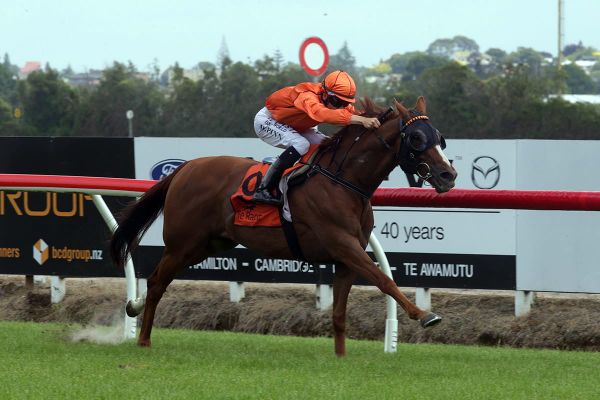 Summer riches await Royal Performer