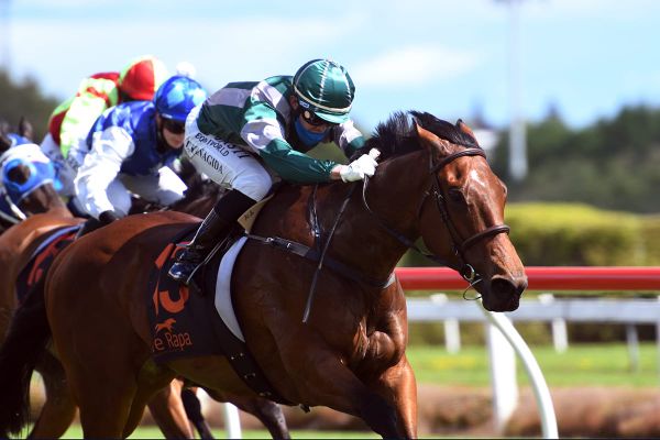 Singapore Derby a target for impressive Te Rapa winner