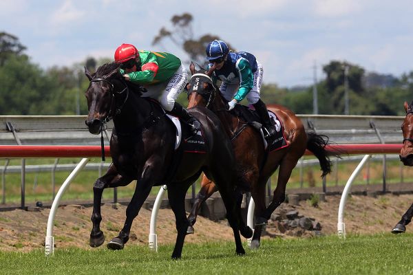 Collett delighted to be back trackside