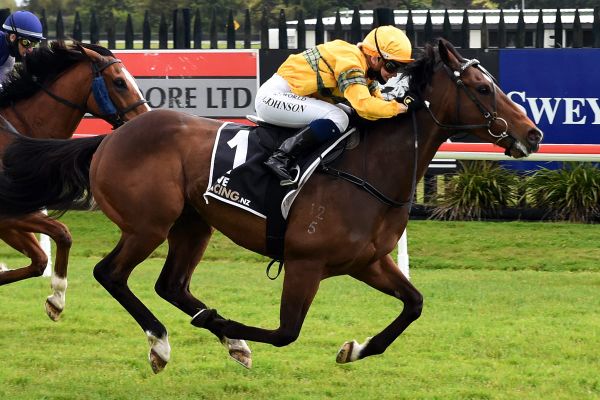 Sharrock’s little battler on a Group One path